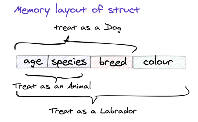 Struct memory for labrador